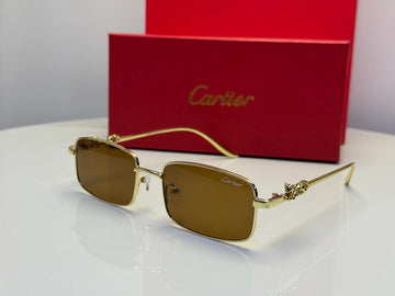 Cartier CT0501S