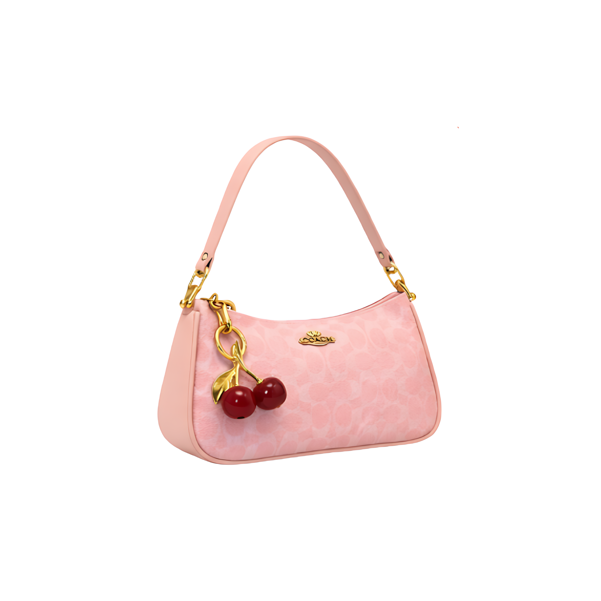 Coach Bag | Teri Shoulder Signature Canvas