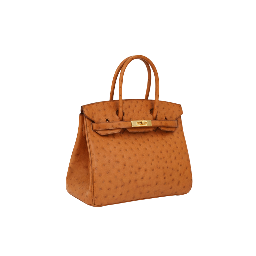 Hermès Bag | Ostrich Birkin Sellier Orange