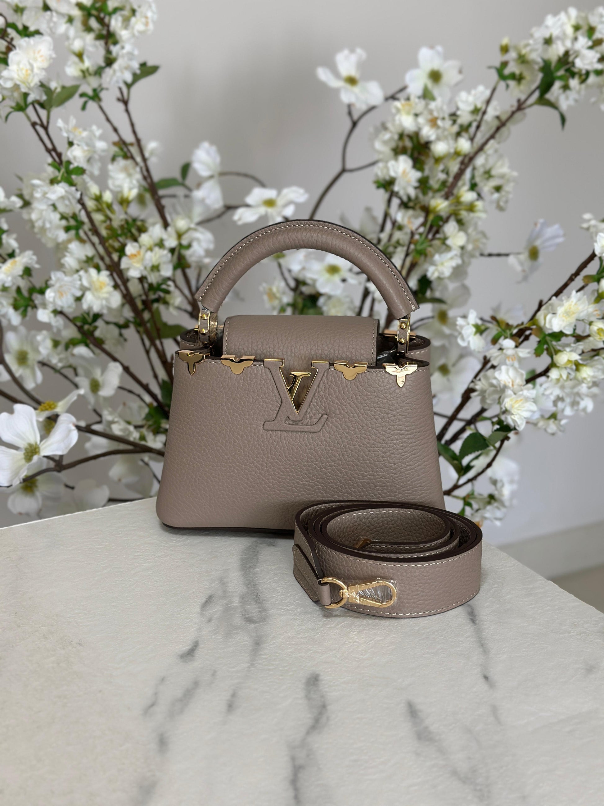 Louis Vuitton Bag | Capucines Gray