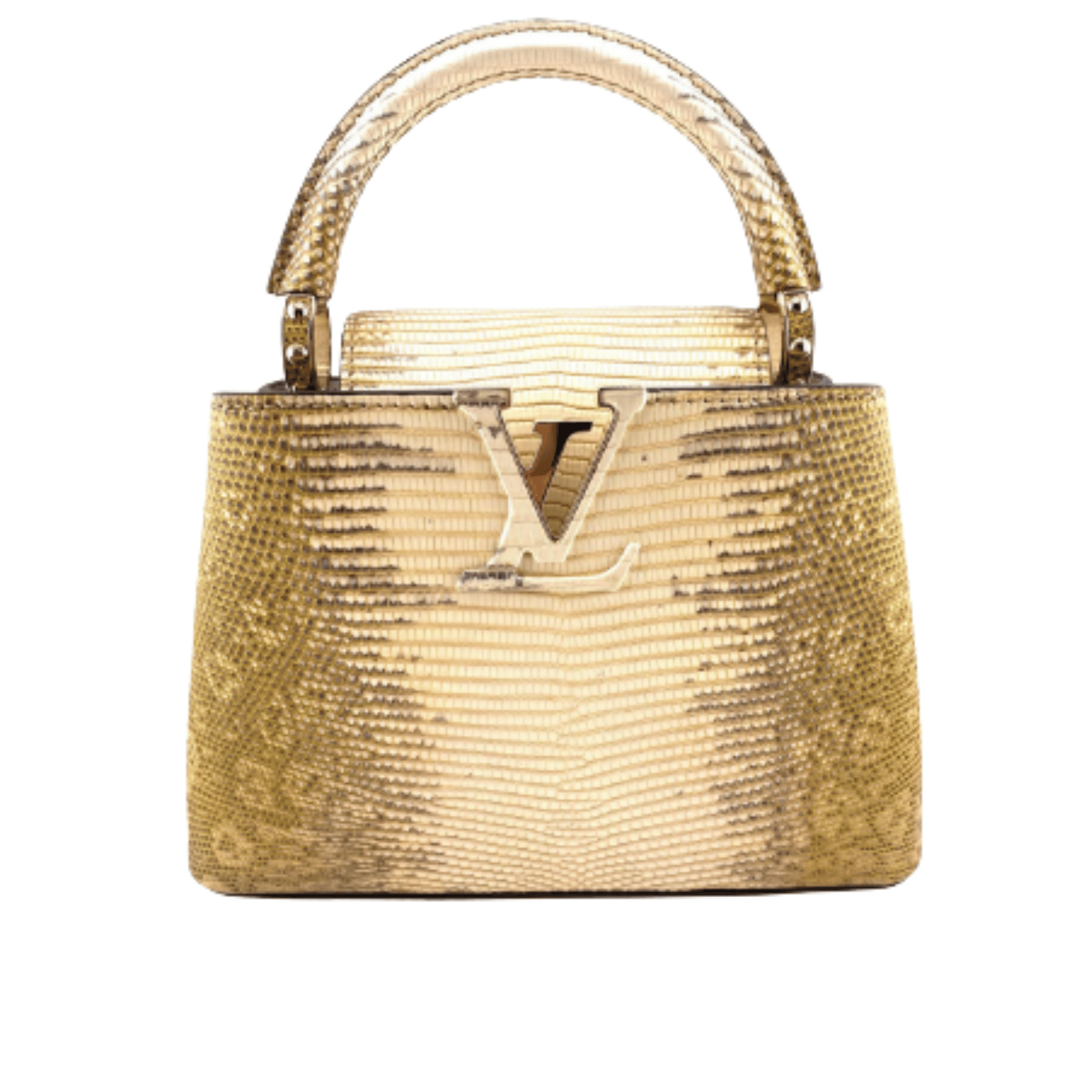 Louis Vuitton Bag | Capucines Gold Snake Skin